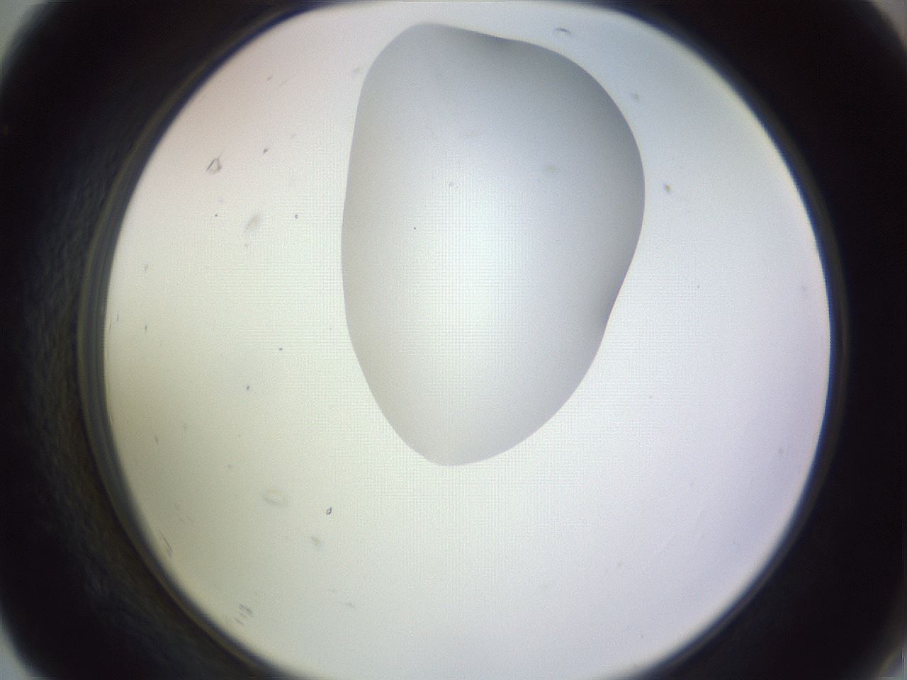 folderID281_plateID1281_batchID4174_wellNum67_profileID1_d2_r75965_ef.jpg