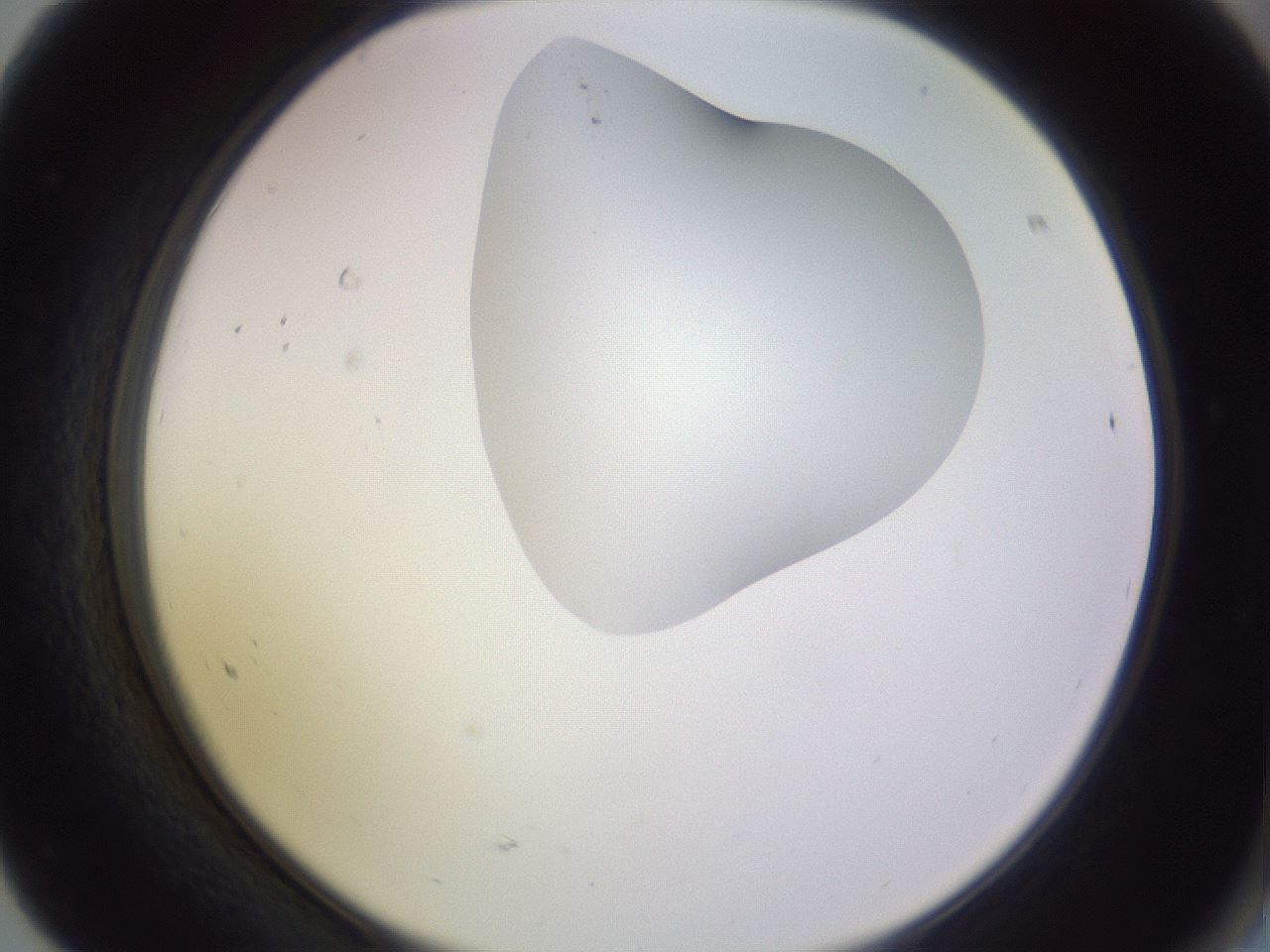 folderID281_plateID1281_batchID4174_wellNum68_profileID1_d2_r75967_ef.jpg