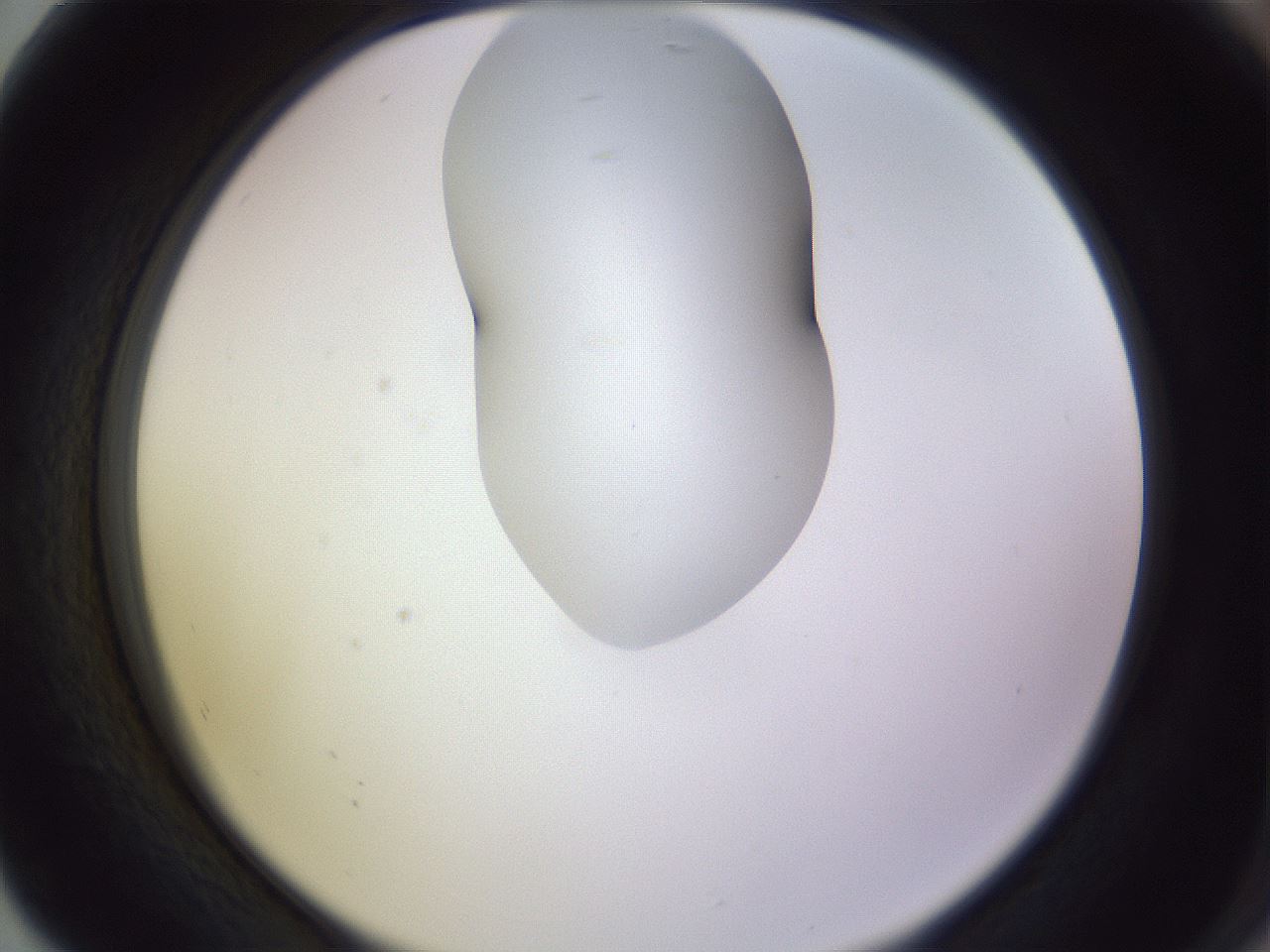 folderID281_plateID1281_batchID4174_wellNum80_profileID1_d2_r75991_ef.jpg