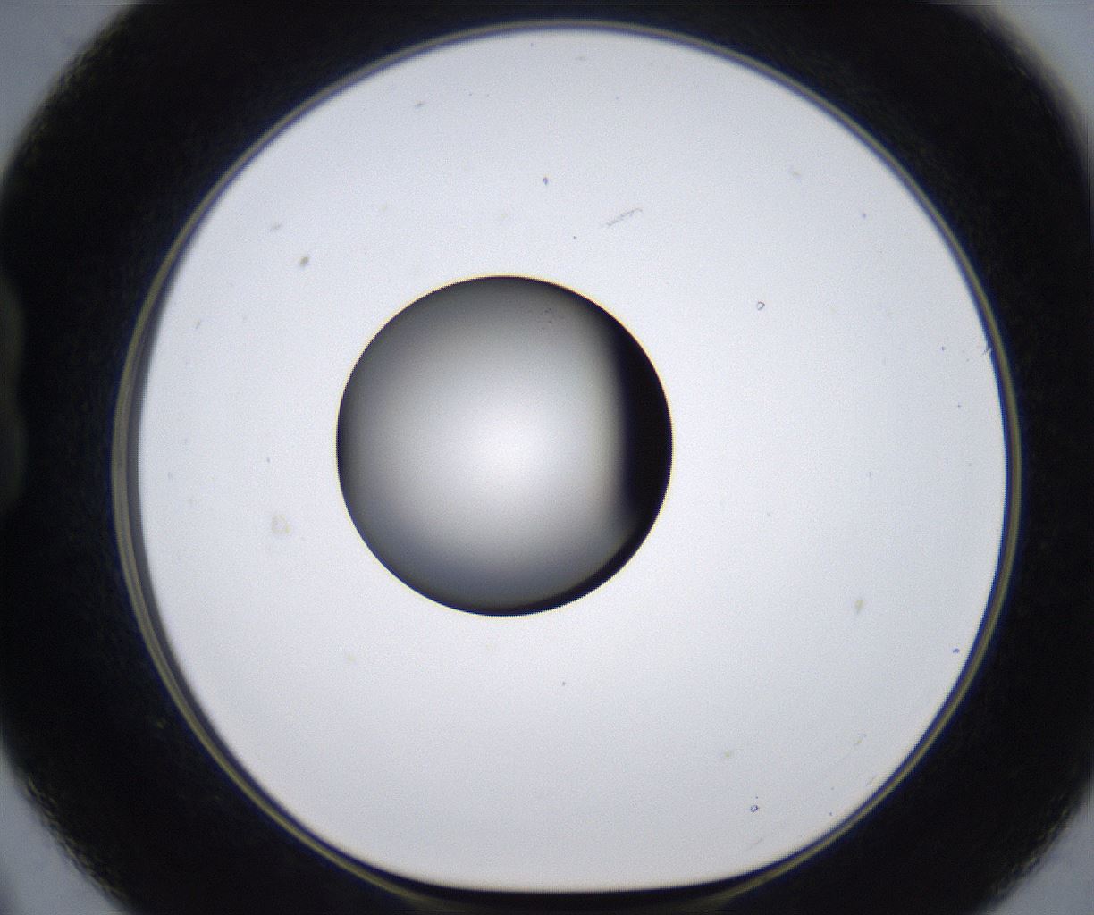 folderID281_plateID2281_batchID10796_wellNum21_profileID1_d1_r159446_ef.jpg