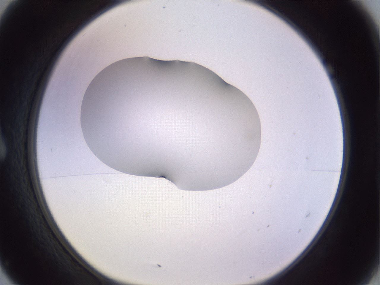 folderID281_plateID1281_batchID4174_wellNum7_profileID1_d1_r75844_ef.jpg