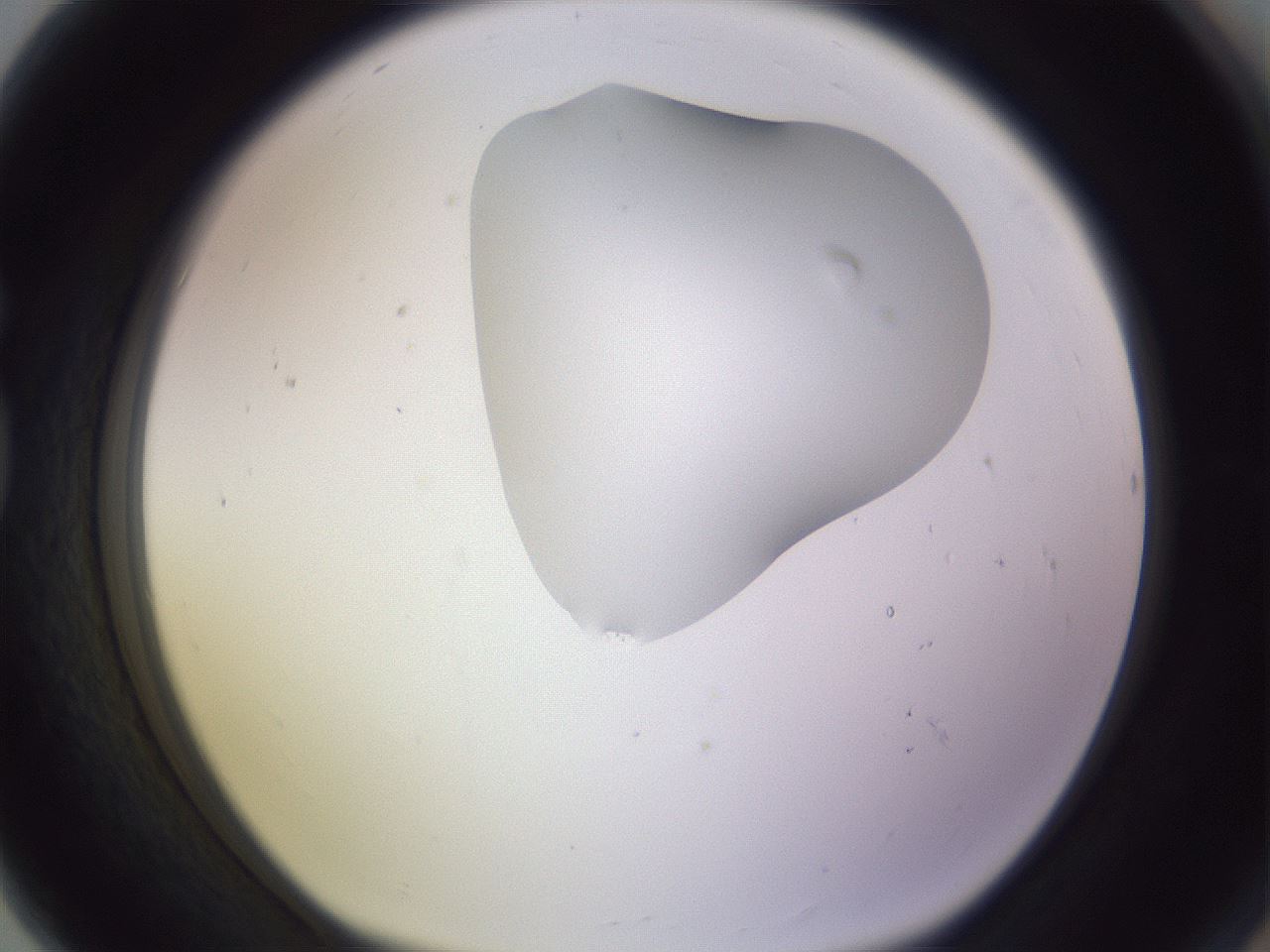 folderID281_plateID1281_batchID4174_wellNum80_profileID1_d1_r75990_ef.jpg