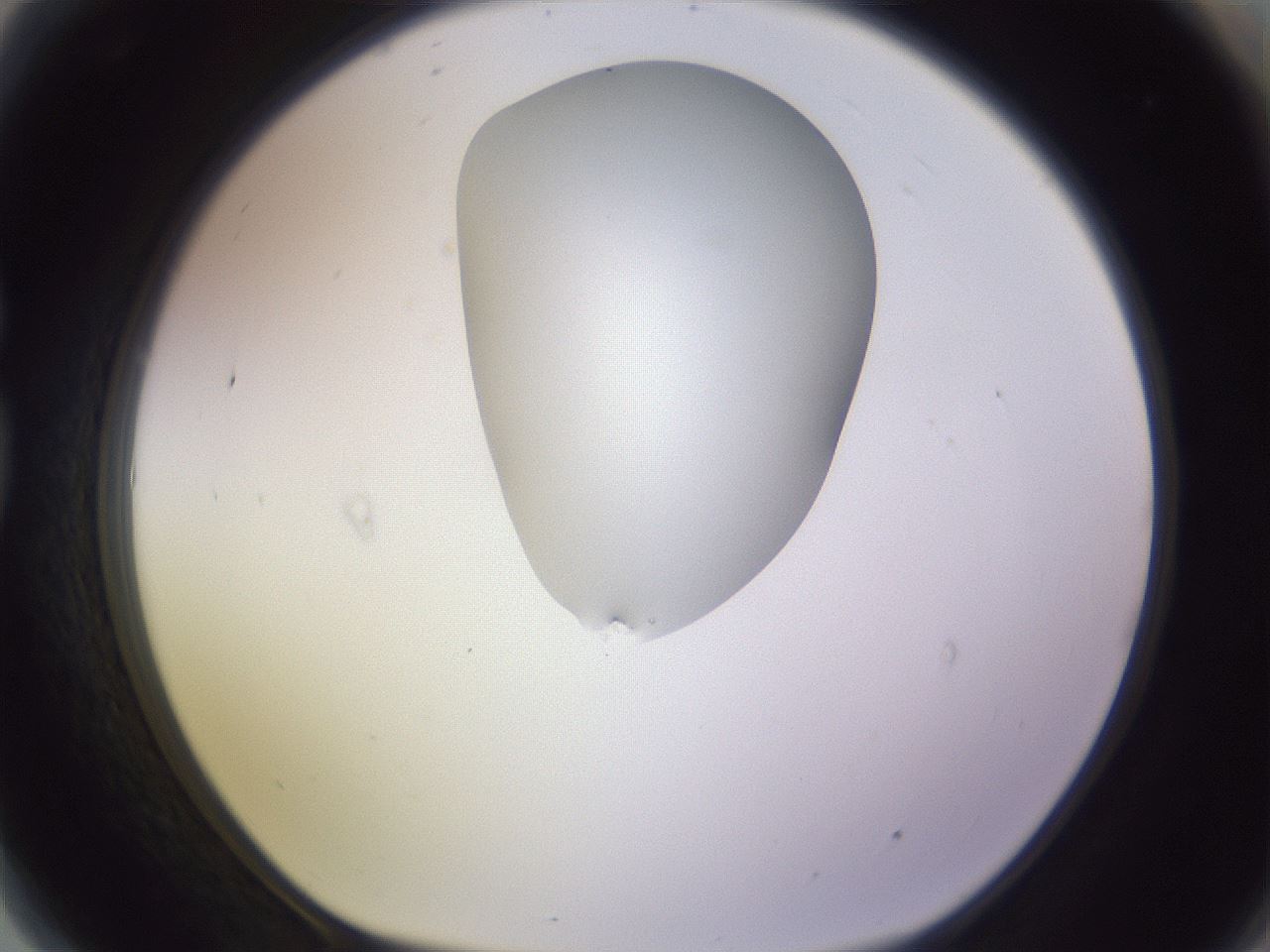 folderID281_plateID1281_batchID4174_wellNum81_profileID1_d1_r75992_ef.jpg