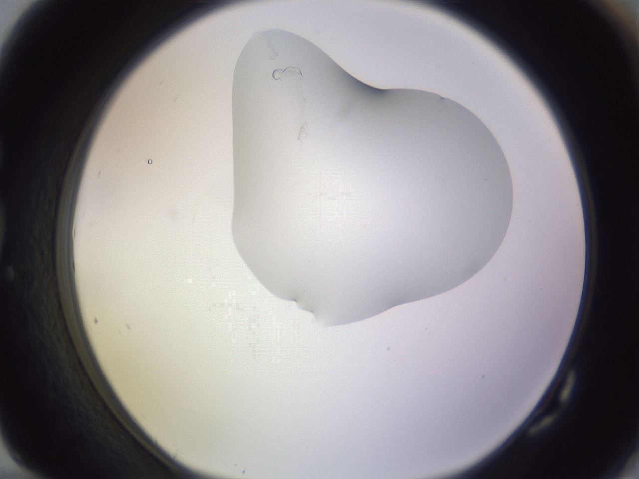 folderID281_plateID1281_batchID4174_wellNum82_profileID1_d1_r75994_ef.jpg