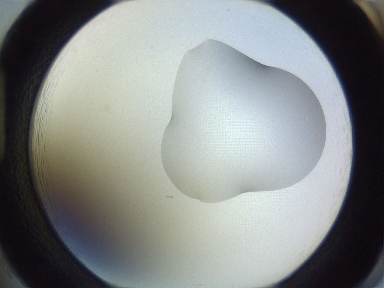 folderID281_plateID1281_batchID4174_wellNum85_profileID1_d1_r76000_ef.jpg