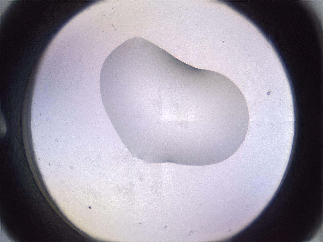 folderID281_plateID1281_batchID4174_wellNum8_profileID1_d1_r75846_ef.jpg