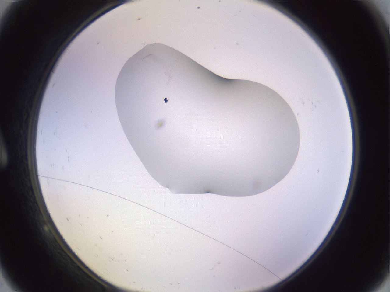 folderID281_plateID1281_batchID4174_wellNum9_profileID1_d1_r75848_ef.jpg