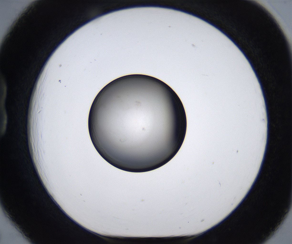 folderID281_plateID2281_batchID10796_wellNum18_profileID1_d1_r159440_ef.jpg
