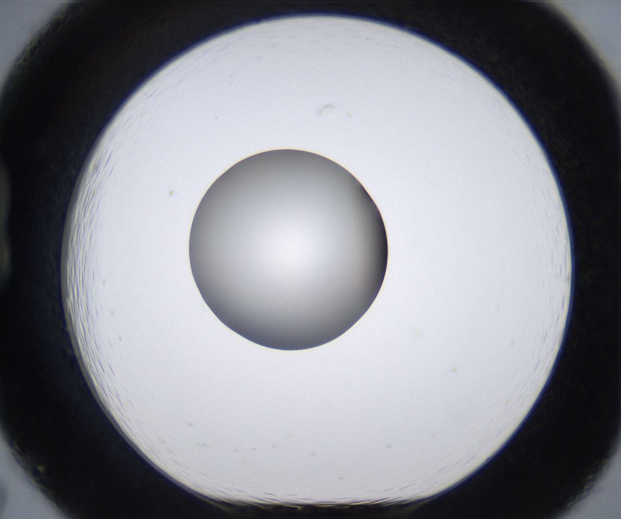 folderID281_plateID2281_batchID10796_wellNum19_profileID1_d1_r159442_ef.jpg