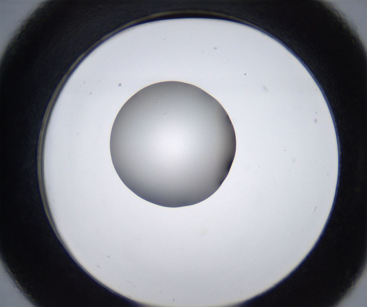 folderID281_plateID2281_batchID10796_wellNum19_profileID1_d2_r159443_ef.jpg