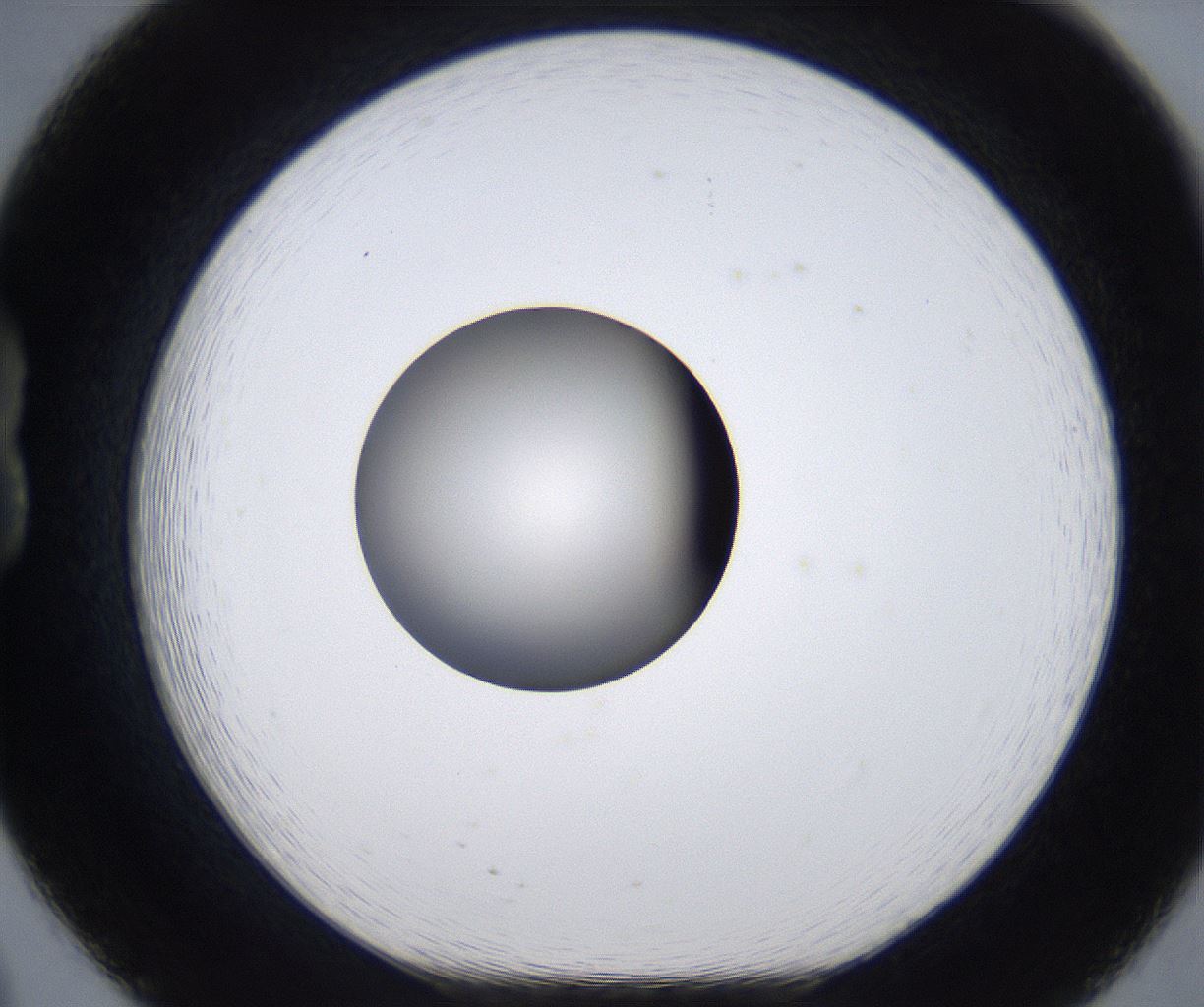 folderID281_plateID2281_batchID10796_wellNum20_profileID1_d1_r159444_ef.jpg