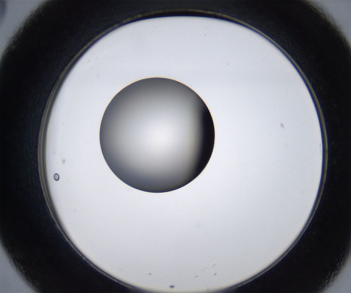 folderID281_plateID2281_batchID10796_wellNum20_profileID1_d2_r159445_ef.jpg