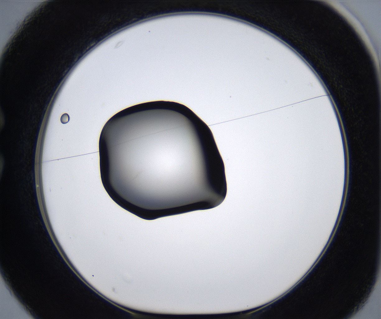 folderID281_plateID2281_batchID10796_wellNum25_profileID1_d1_r159454_ef.jpg