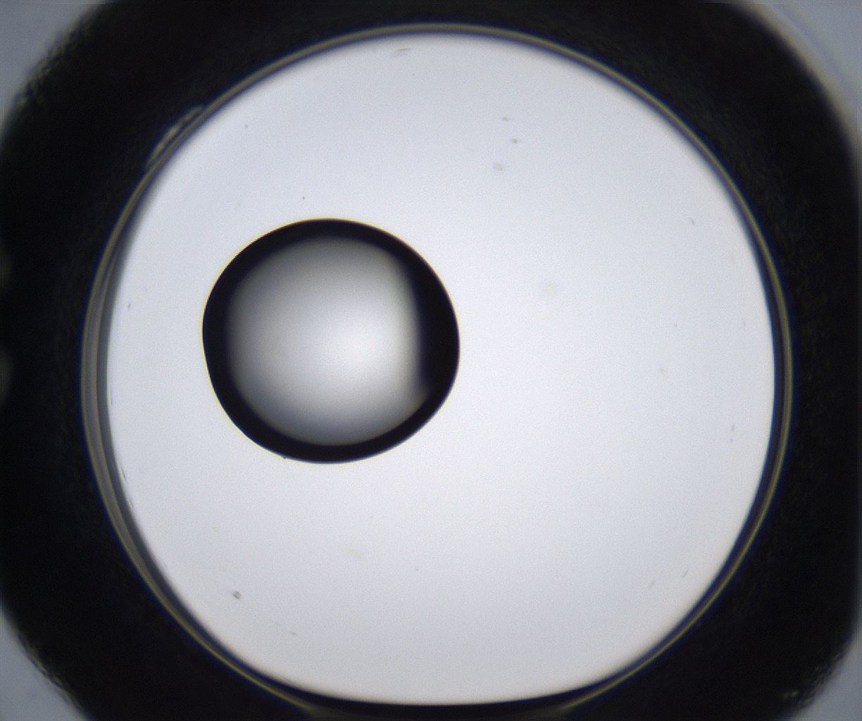 folderID281_plateID2281_batchID10796_wellNum28_profileID1_d1_r159460_ef.jpg