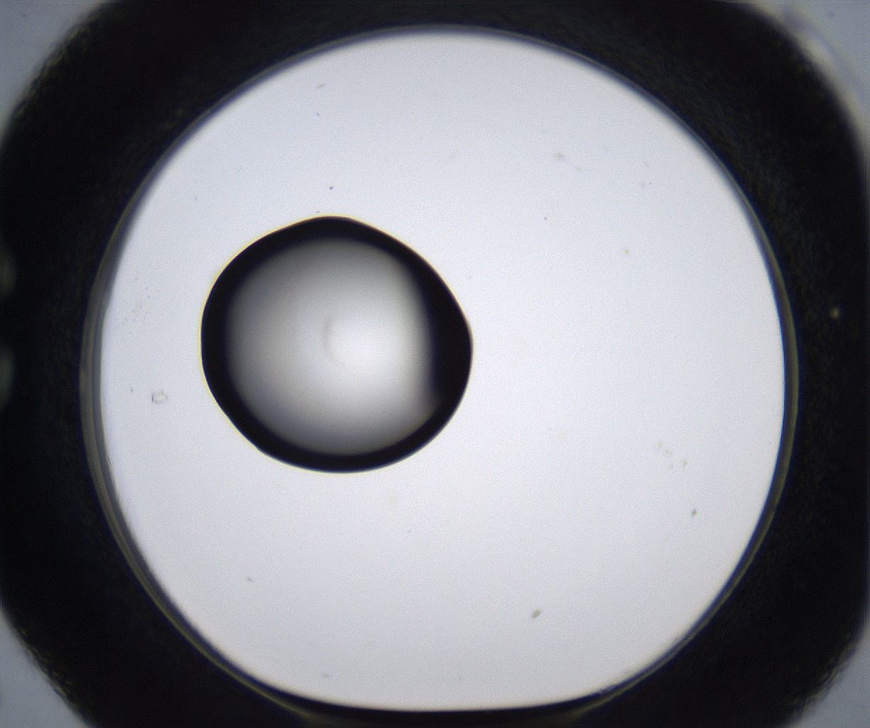 folderID281_plateID2281_batchID10796_wellNum29_profileID1_d1_r159462_ef.jpg