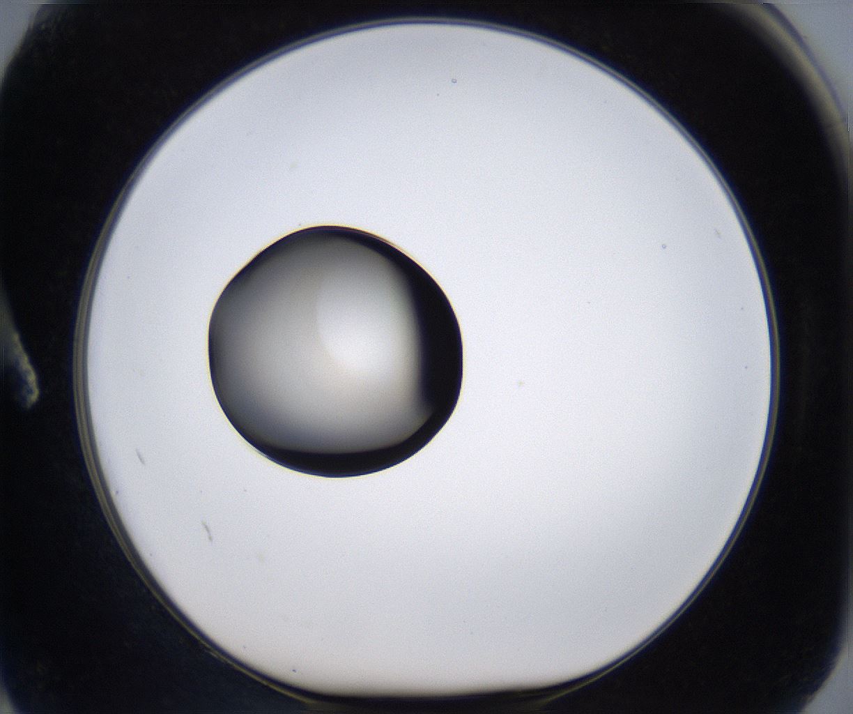 folderID281_plateID2281_batchID10796_wellNum2_profileID1_d1_r159408_ef.jpg