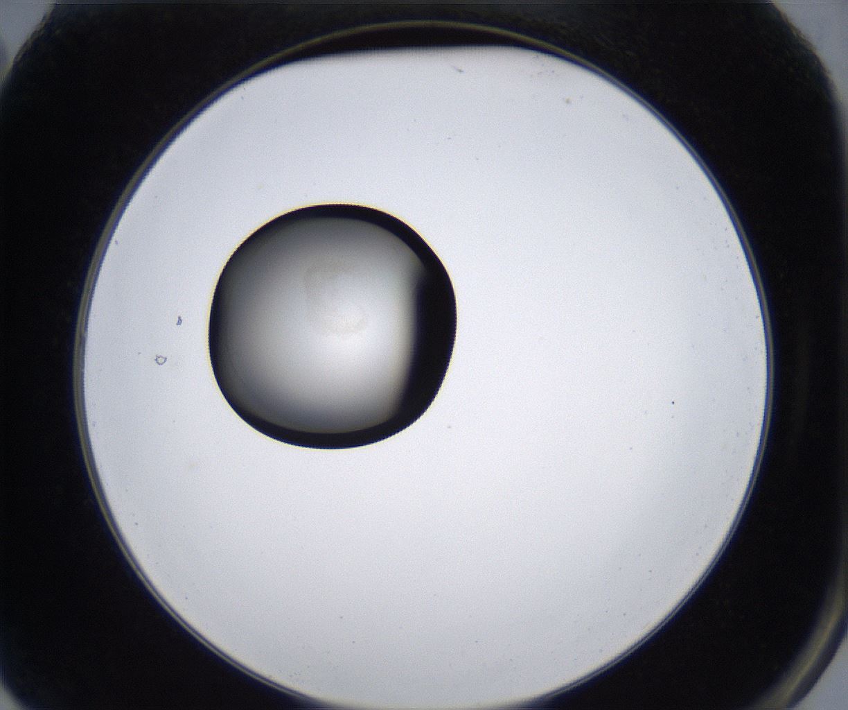 folderID281_plateID2281_batchID10796_wellNum2_profileID1_d2_r159409_ef.jpg