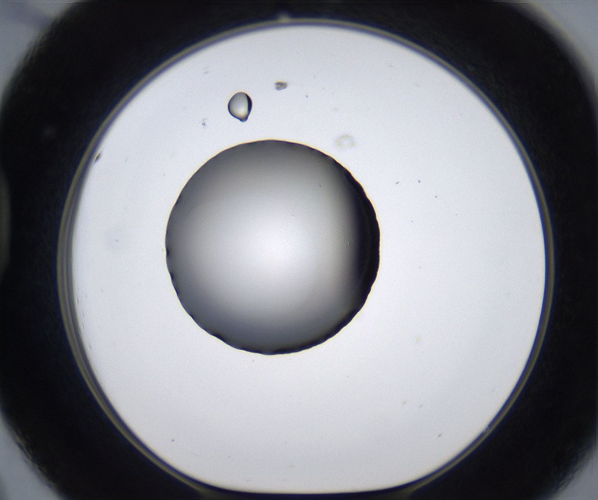 folderID281_plateID2281_batchID10796_wellNum44_profileID1_d1_r159492_ef.jpg