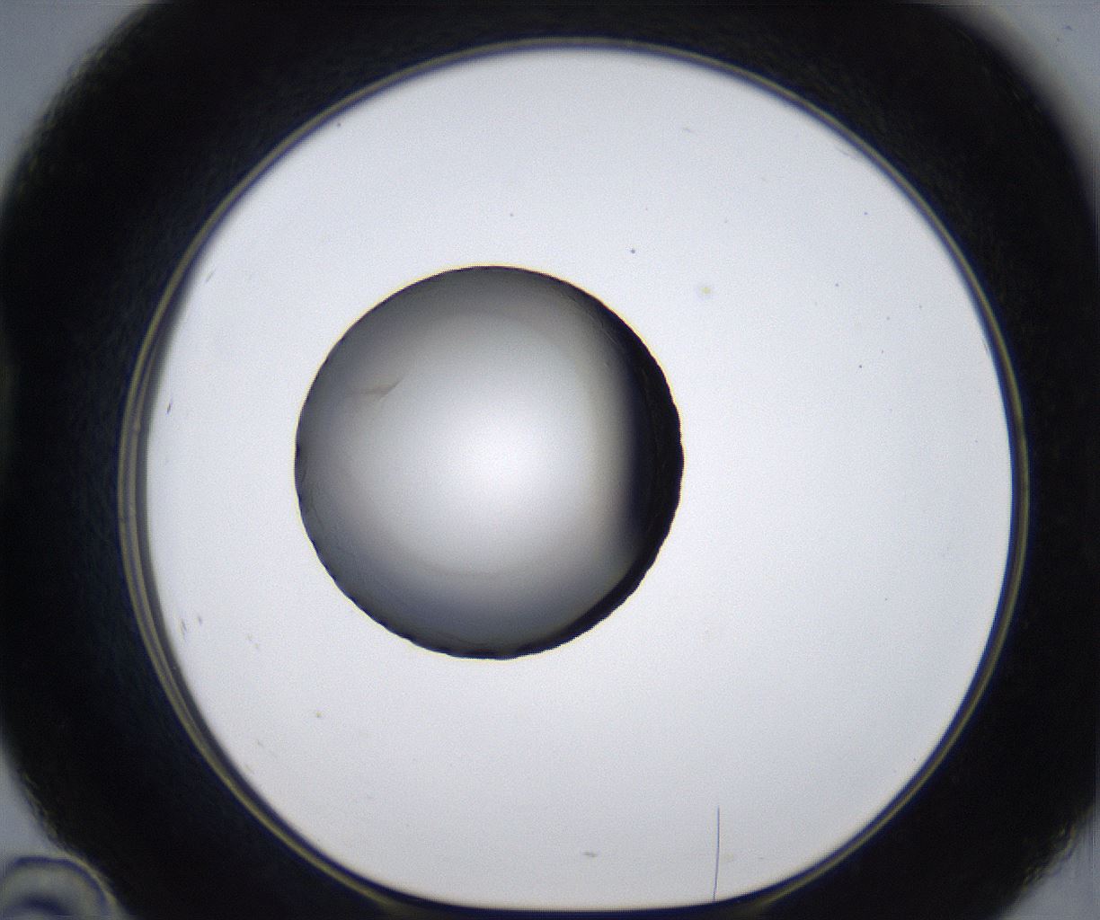folderID281_plateID2281_batchID10796_wellNum46_profileID1_d1_r159496_ef.jpg