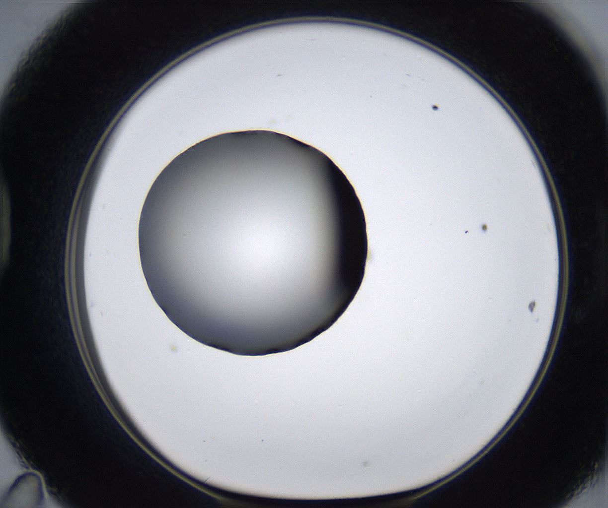 folderID281_plateID2281_batchID10796_wellNum47_profileID1_d1_r159498_ef.jpg