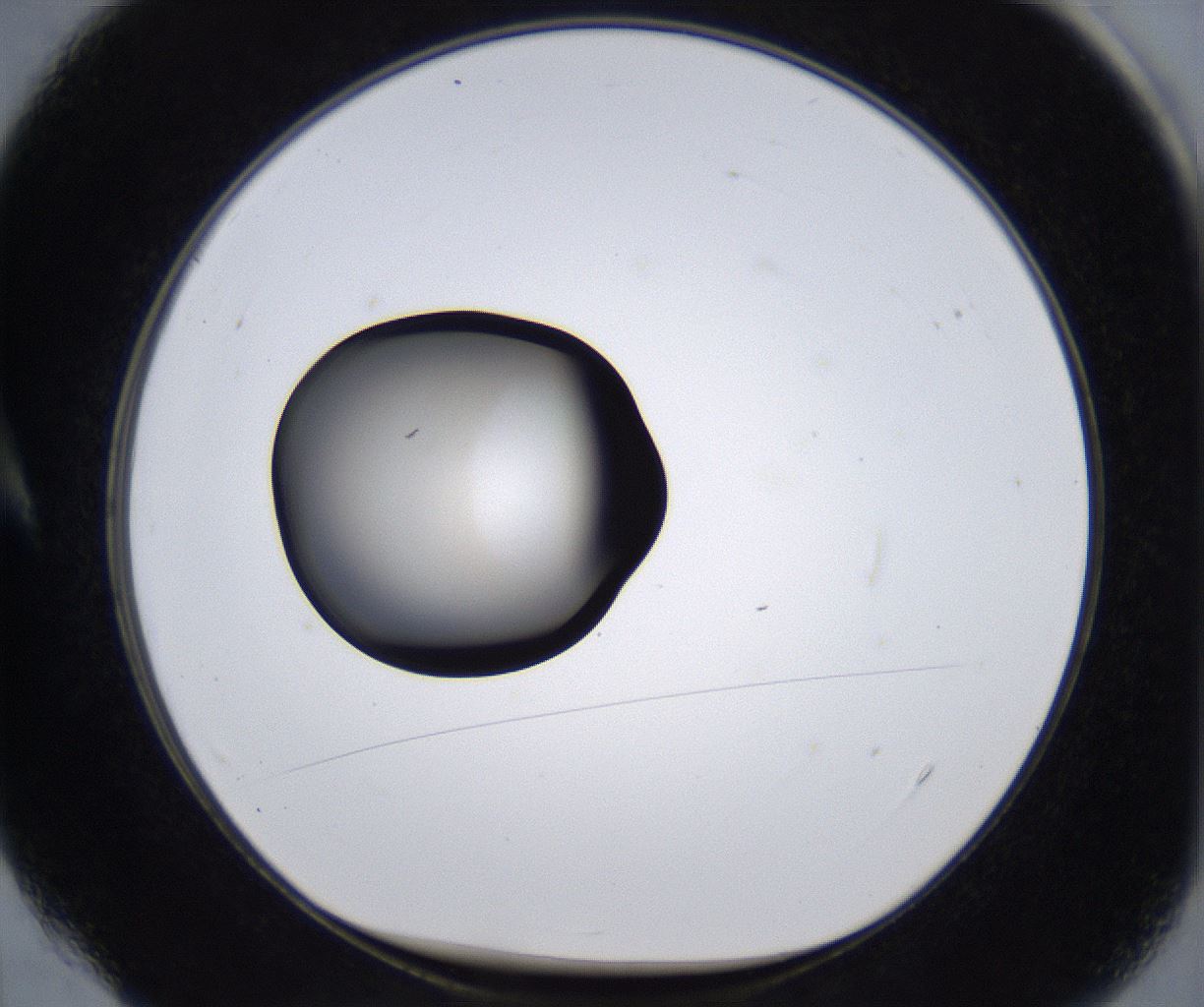folderID281_plateID2281_batchID10796_wellNum4_profileID1_d1_r159412_ef.jpg