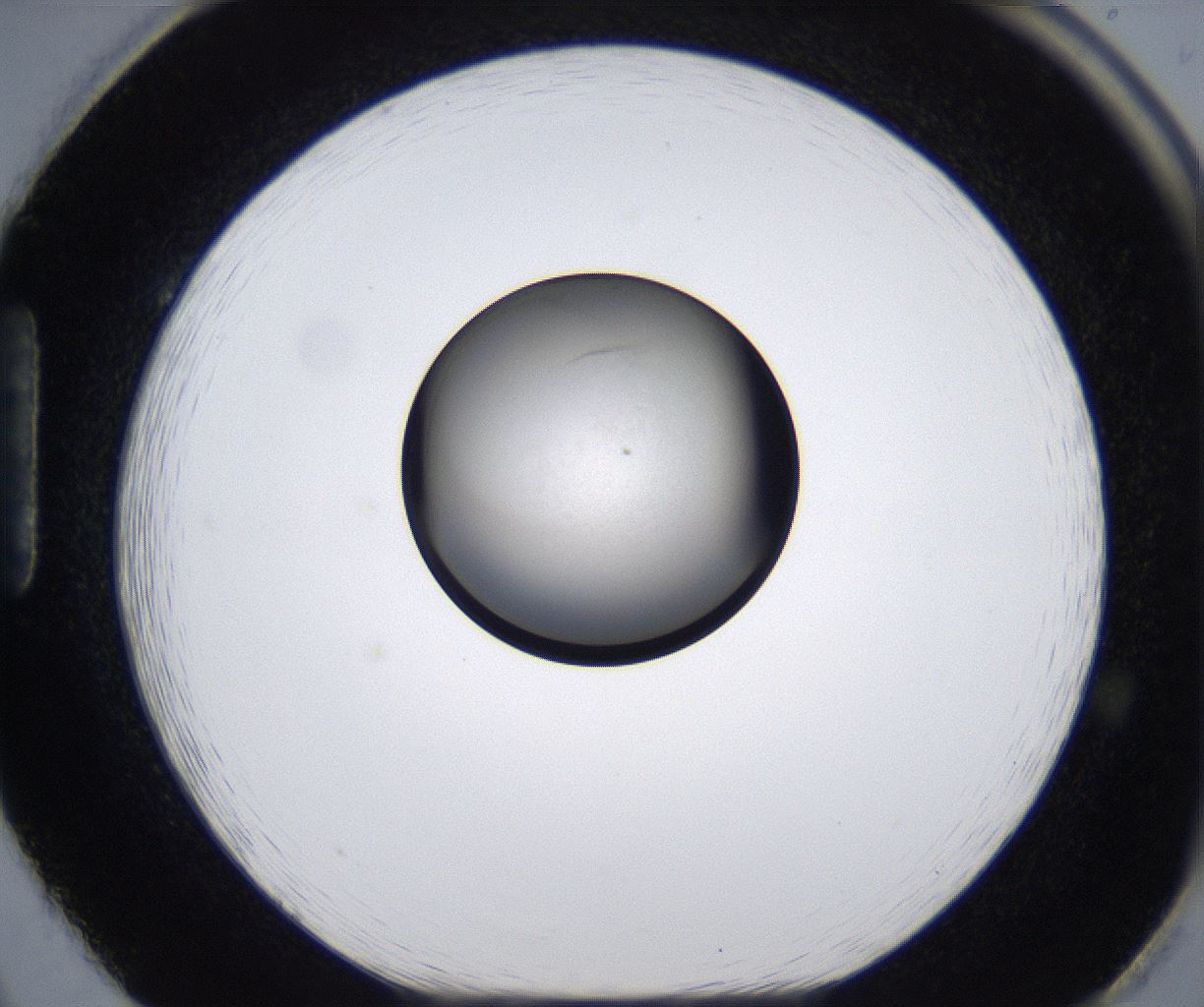 folderID281_plateID2281_batchID10796_wellNum86_profileID1_d1_r159576_ef.jpg