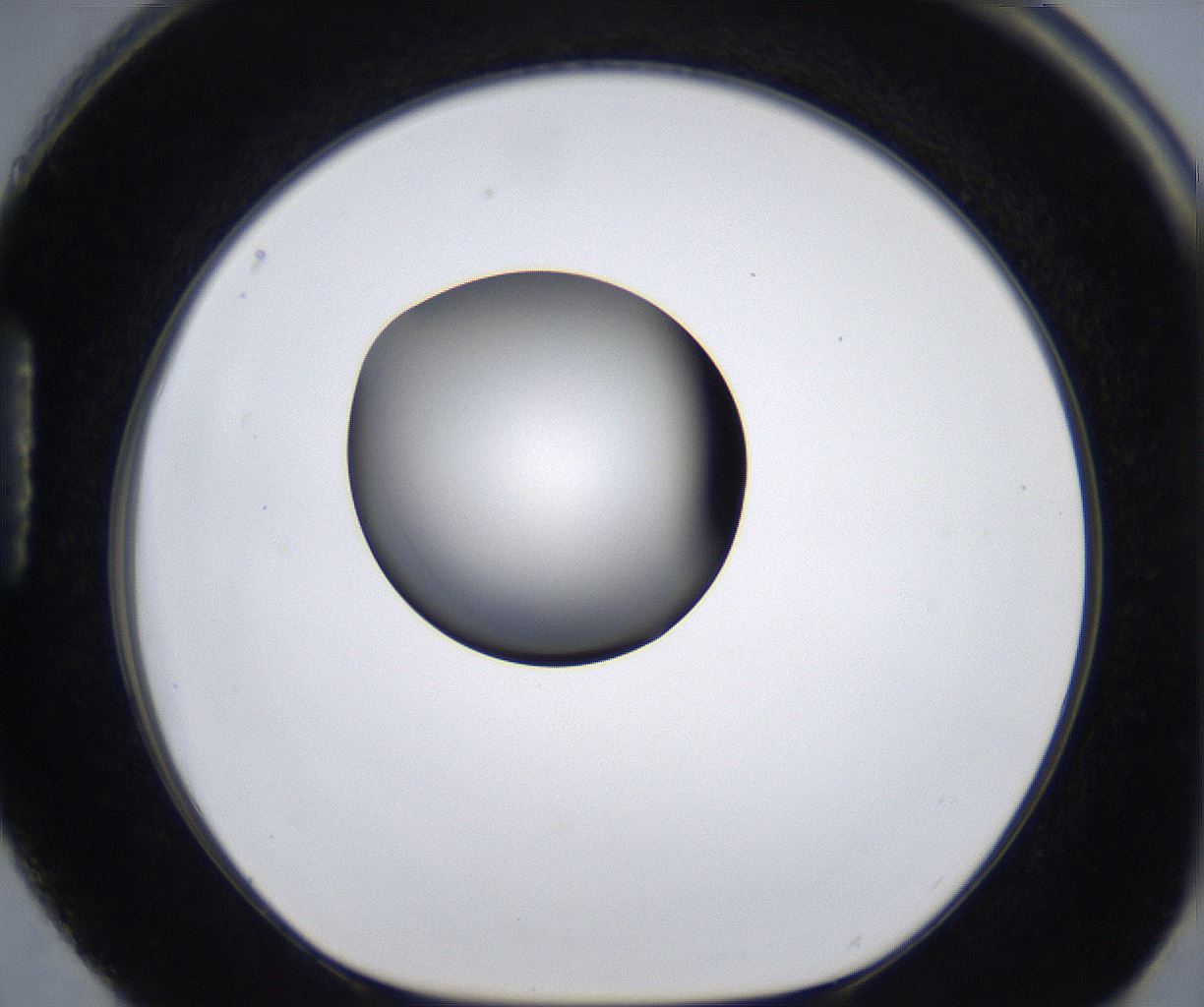 folderID281_plateID2281_batchID10796_wellNum88_profileID1_d1_r159580_ef.jpg