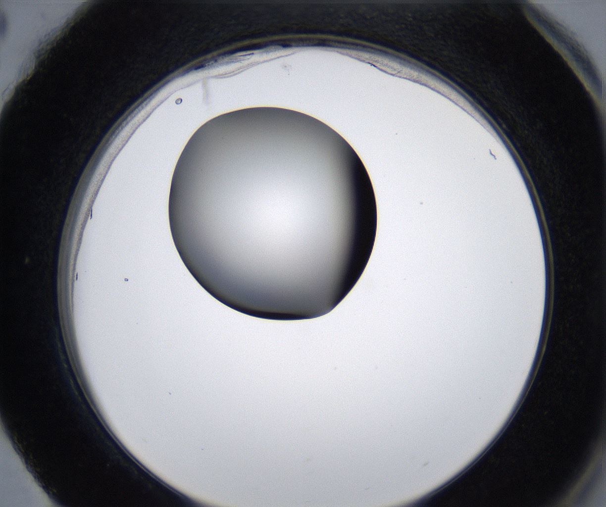 folderID281_plateID2281_batchID10796_wellNum88_profileID1_d2_r159581_ef.jpg