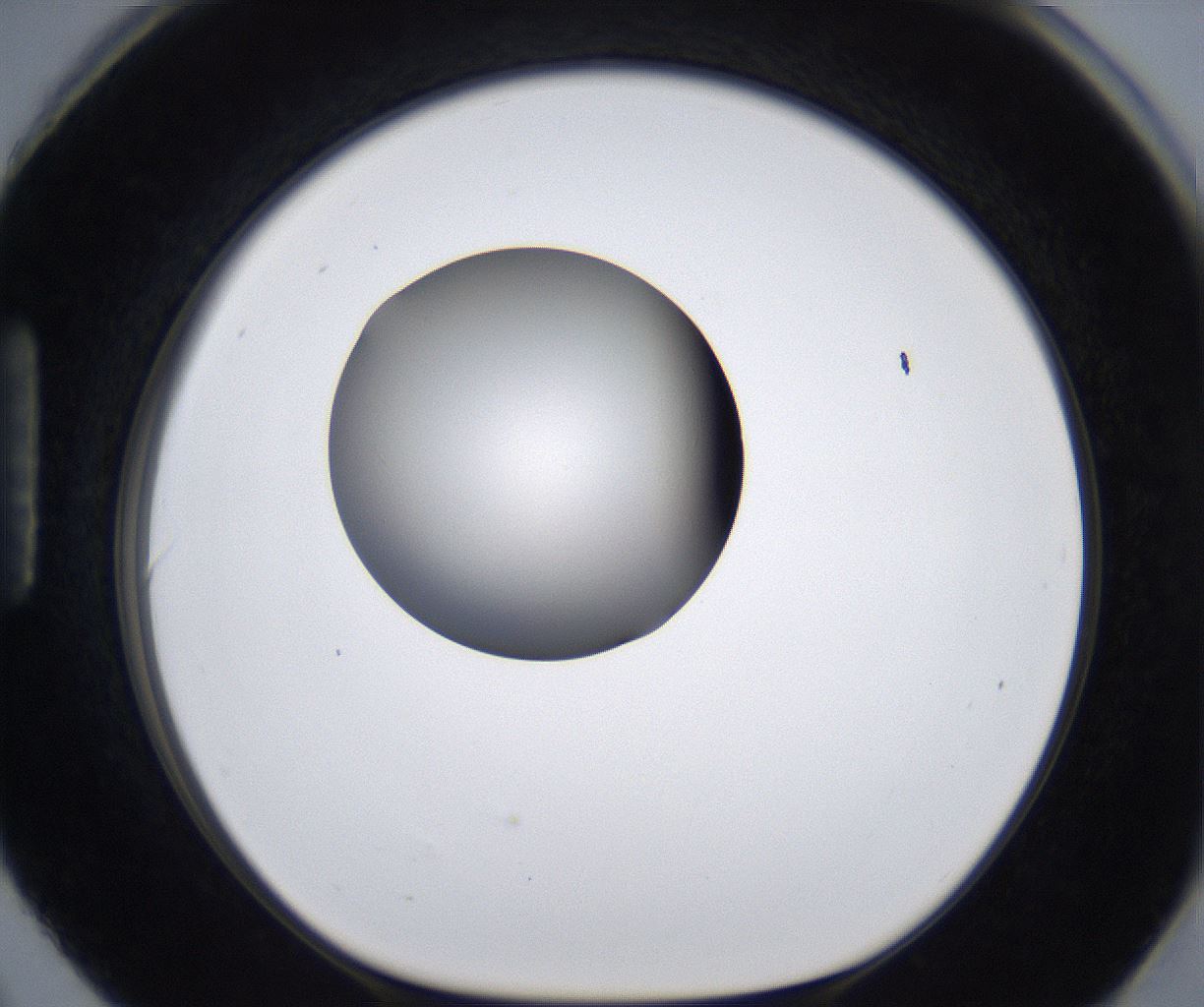 folderID281_plateID2281_batchID10796_wellNum90_profileID1_d1_r159584_ef.jpg