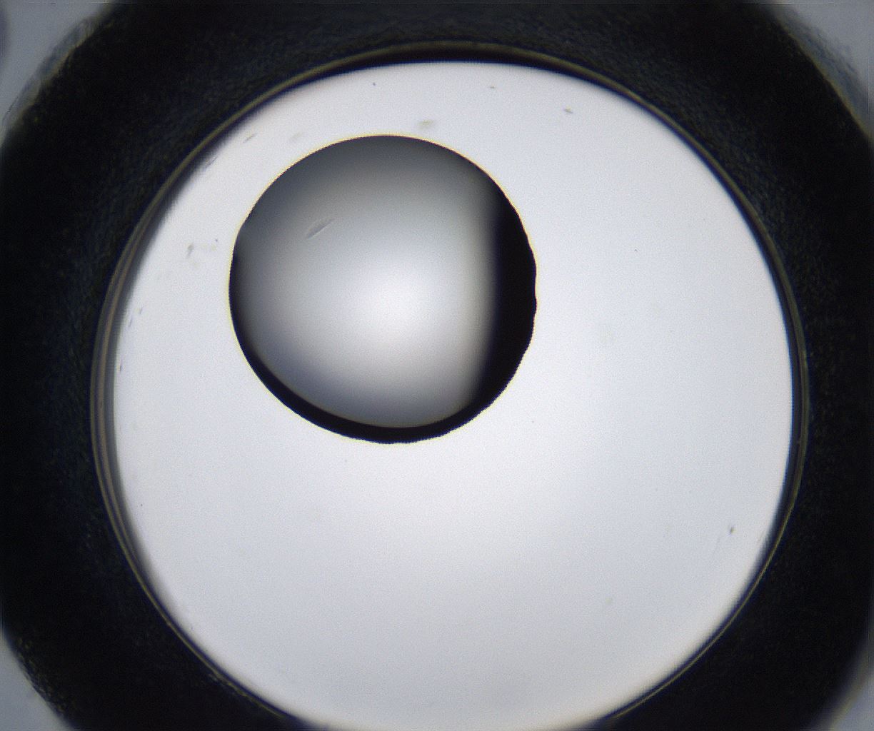 folderID281_plateID2281_batchID10796_wellNum92_profileID1_d2_r159589_ef.jpg