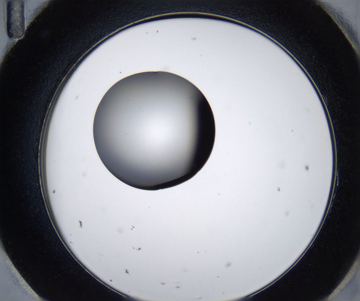 folderID281_plateID2281_batchID10796_wellNum95_profileID1_d2_r159595_ef.jpg