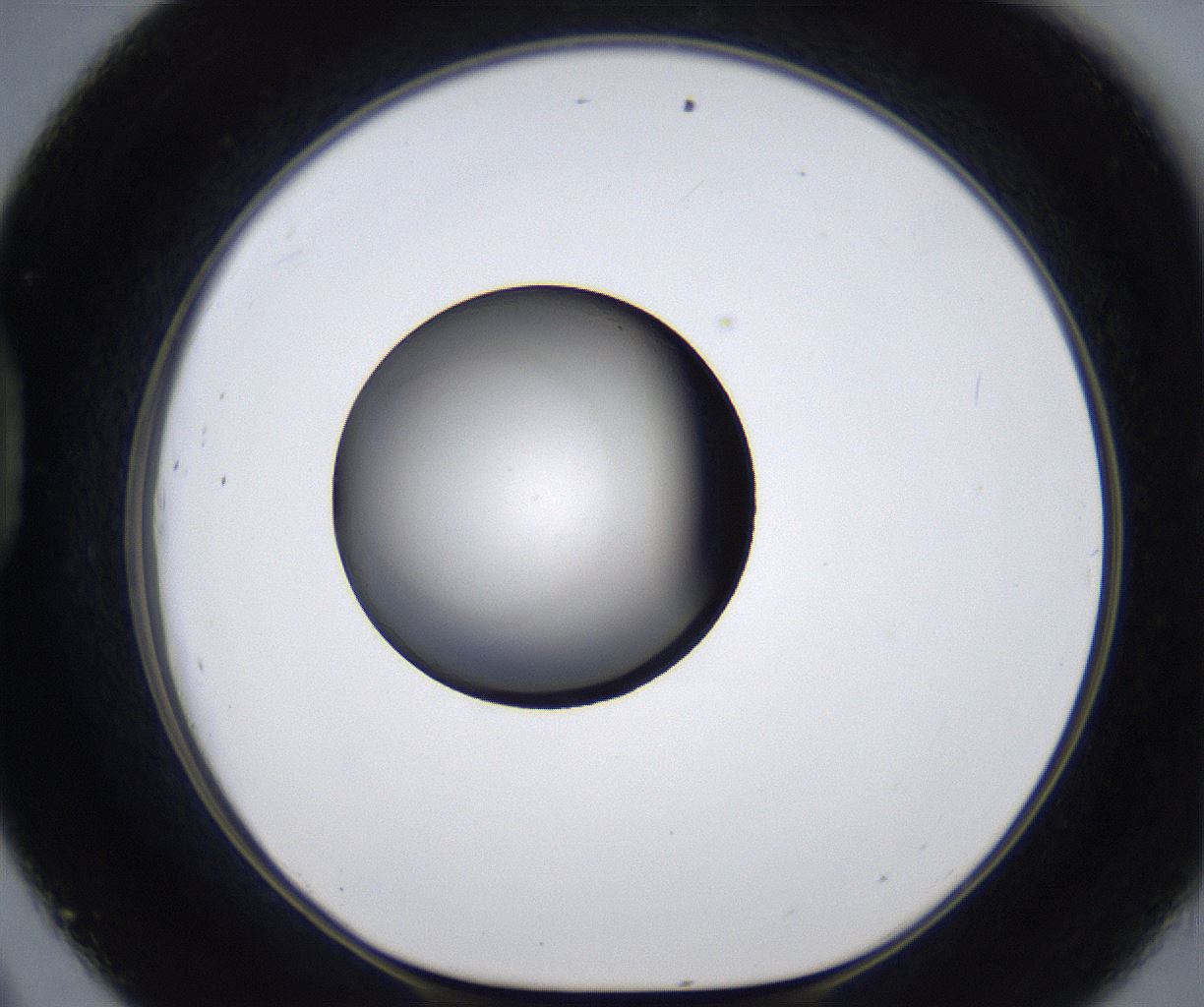 folderID281_plateID2281_batchID10796_wellNum45_profileID1_d1_r159494_ef.jpg