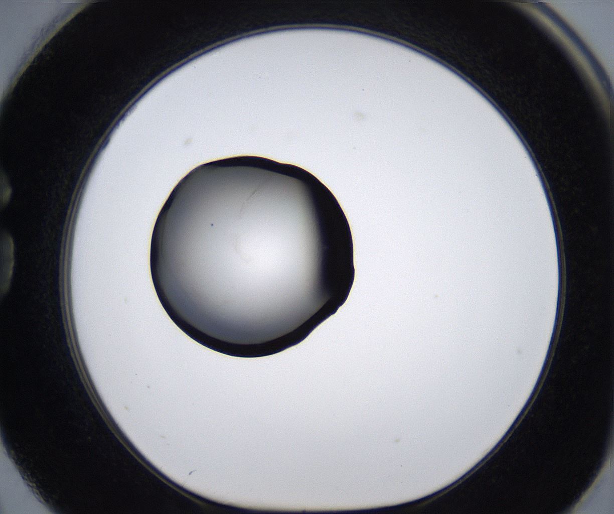folderID281_plateID2281_batchID10796_wellNum74_profileID1_d1_r159552_ef.jpg