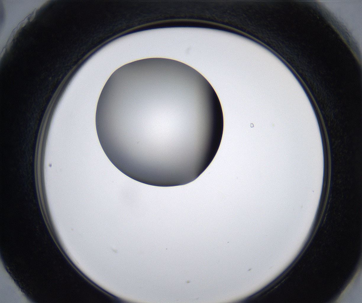 folderID281_plateID2281_batchID10796_wellNum90_profileID1_d2_r159585_ef.jpg