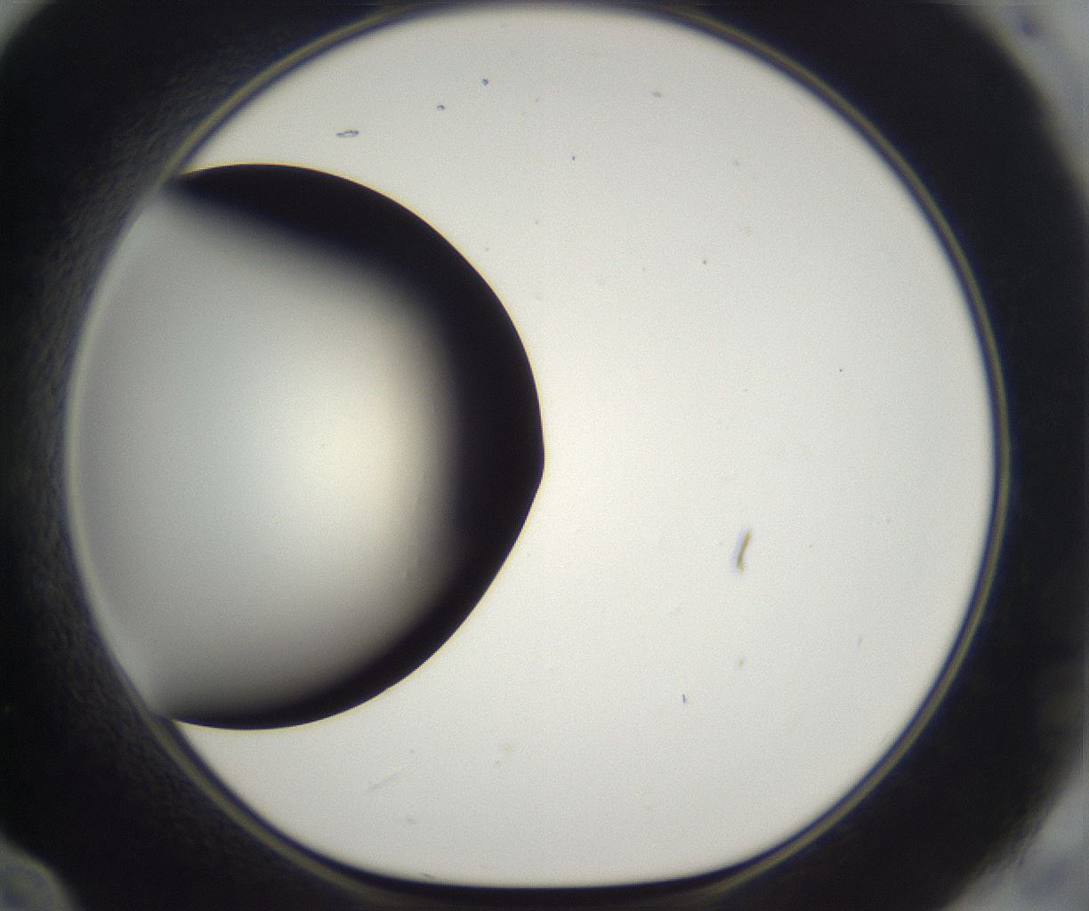 folderID282_plateID2282_batchID10837_wellNum60_profileID1_d1_r160233_ef.jpg