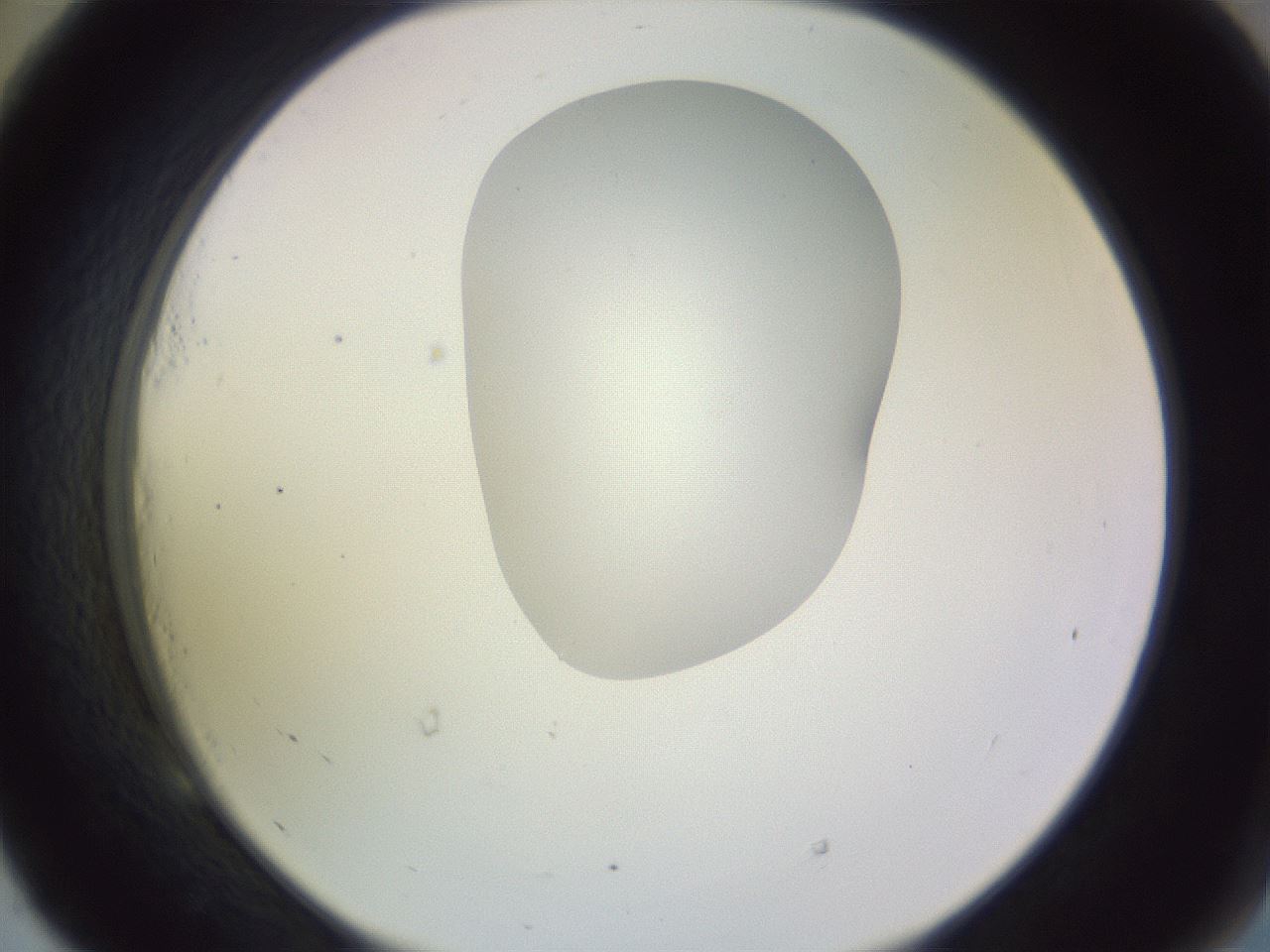 folderID282_plateID1282_batchID4176_wellNum53_profileID1_d2_r76513_ef.jpg