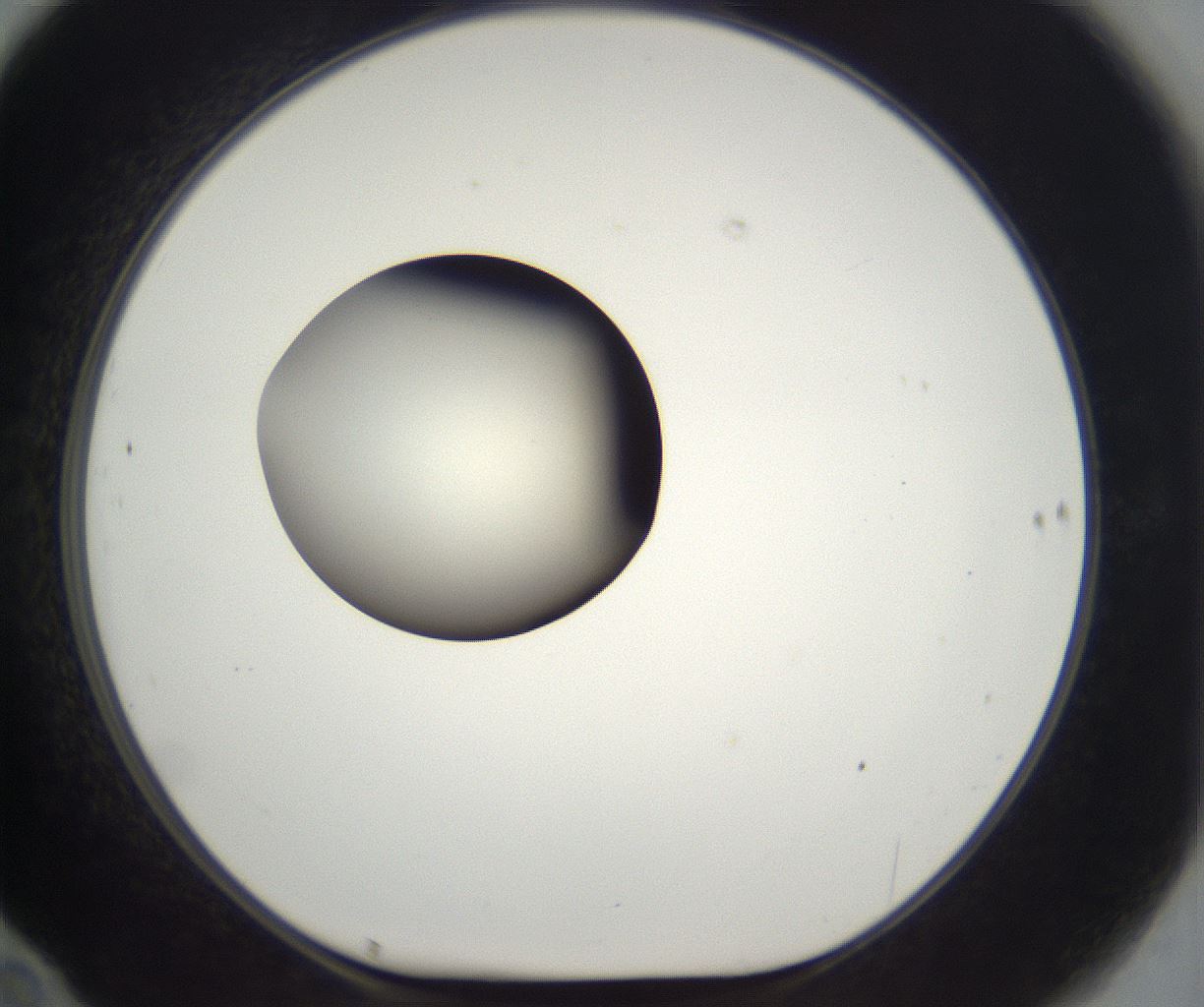 folderID282_plateID2282_batchID10837_wellNum70_profileID1_d1_r160243_ef.jpg