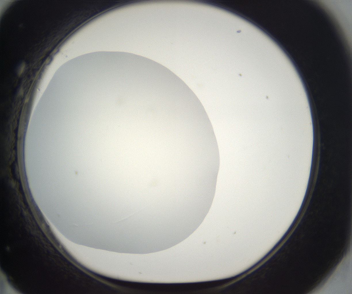 folderID282_plateID2282_batchID10837_wellNum71_profileID1_d1_r160244_ef.jpg