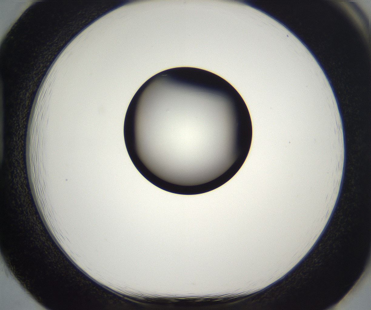 folderID282_plateID2282_batchID10837_wellNum85_profileID1_d1_r160258_ef.jpg