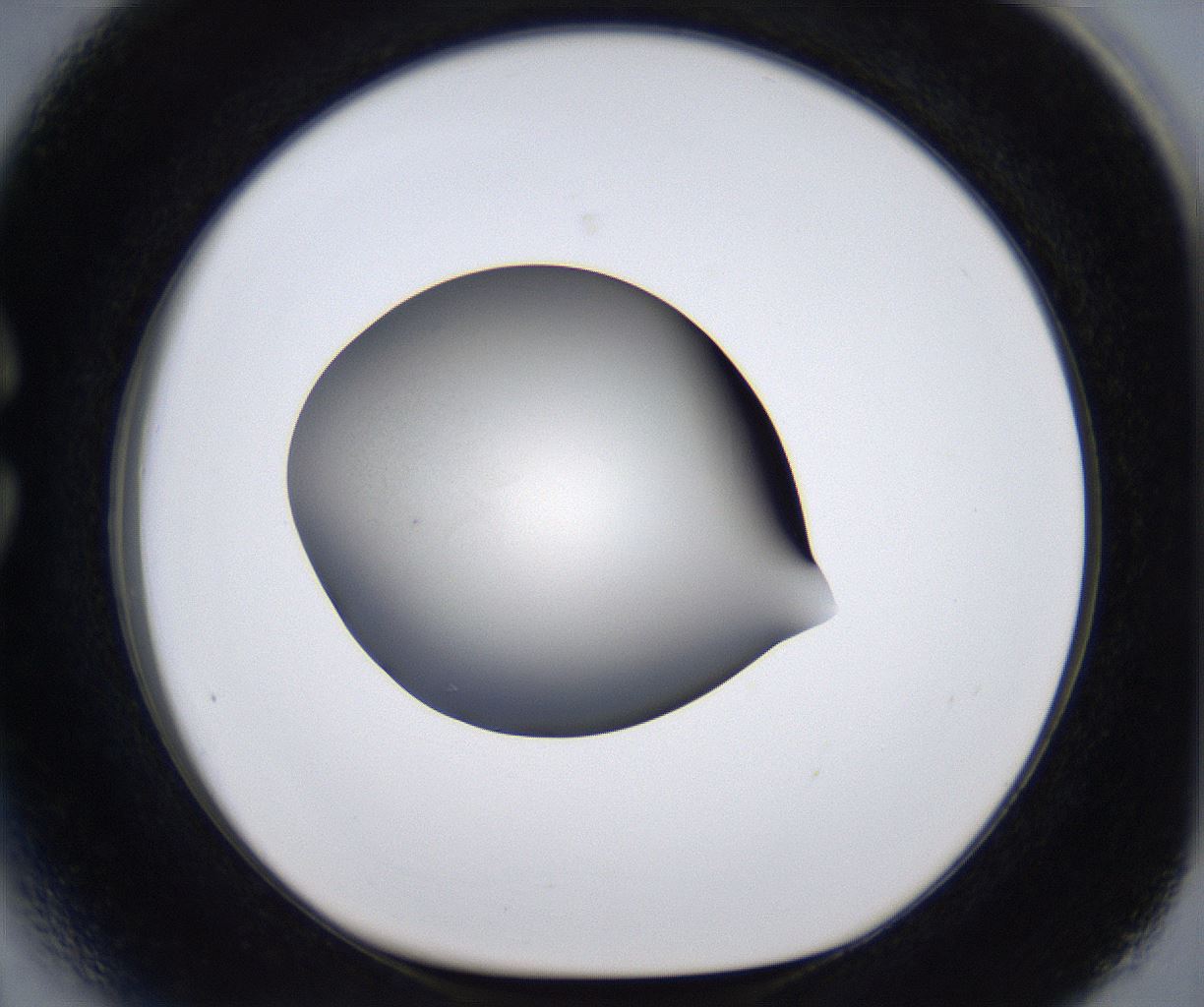 folderID283_plateID2283_batchID10811_wellNum27_profileID1_d1_r159624_ef.jpg