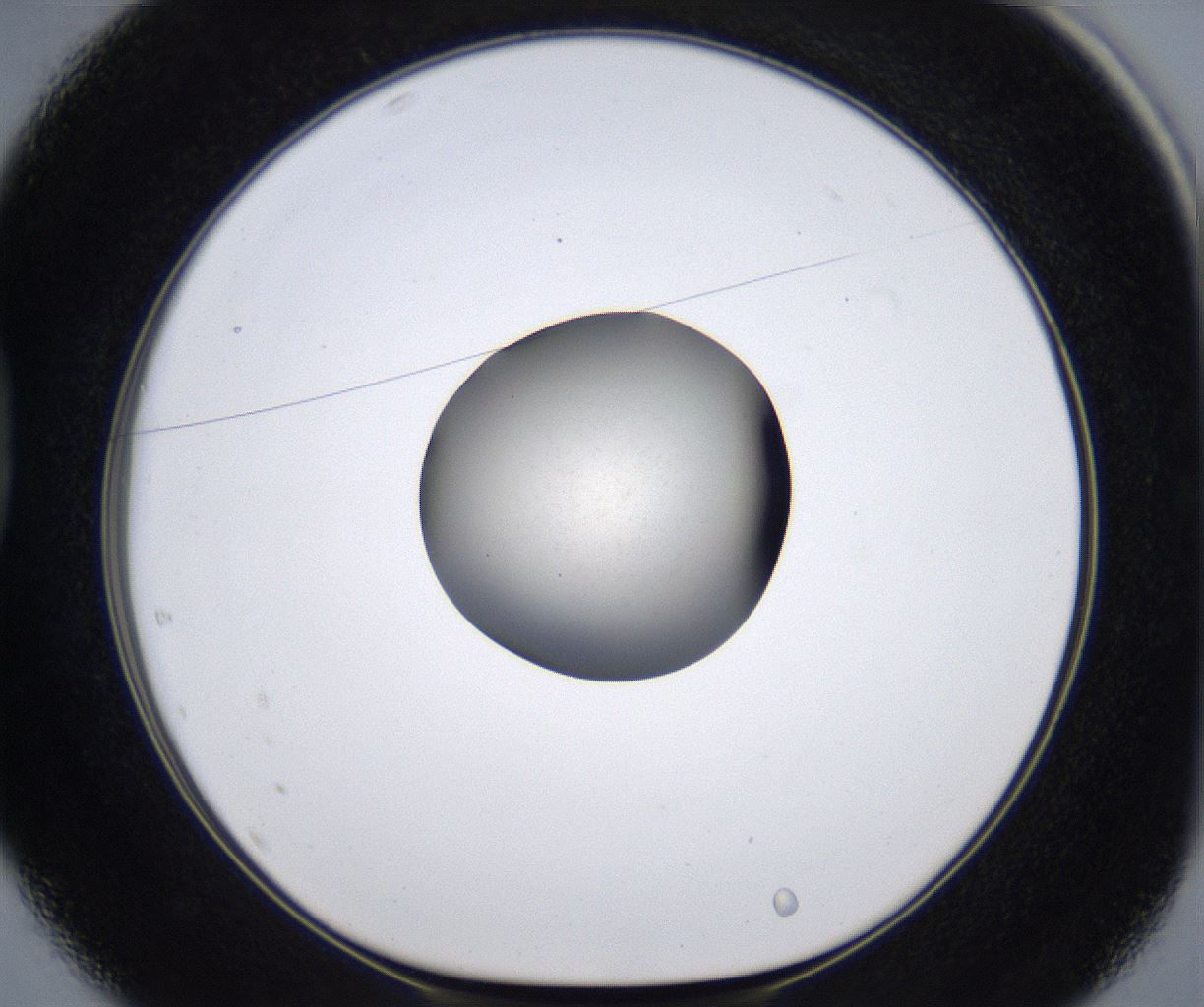 folderID283_plateID2283_batchID10811_wellNum37_profileID1_d1_r159634_ef.jpg