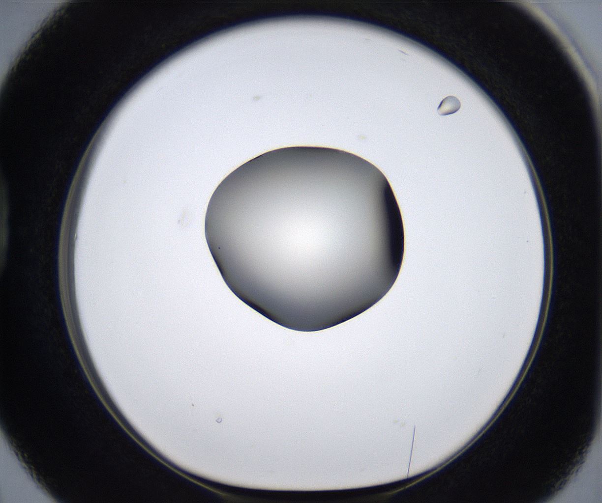 folderID283_plateID2283_batchID10811_wellNum38_profileID1_d1_r159635_ef.jpg