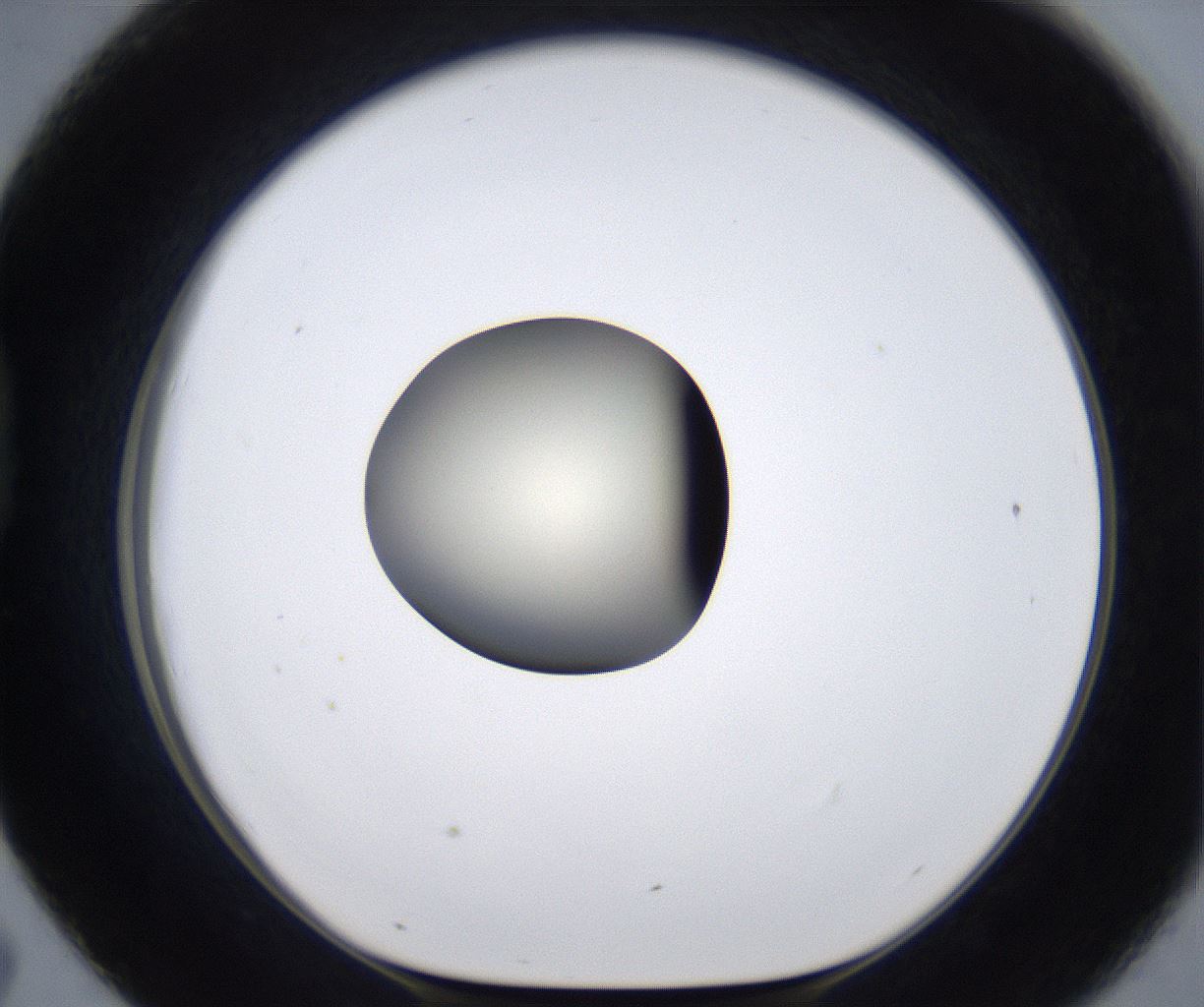folderID283_plateID2283_batchID10811_wellNum43_profileID1_d1_r159640_ef.jpg