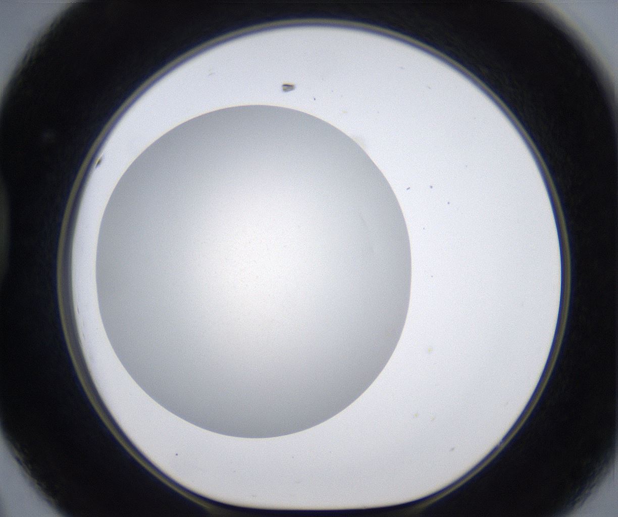 folderID283_plateID2283_batchID10811_wellNum44_profileID1_d1_r159641_ef.jpg