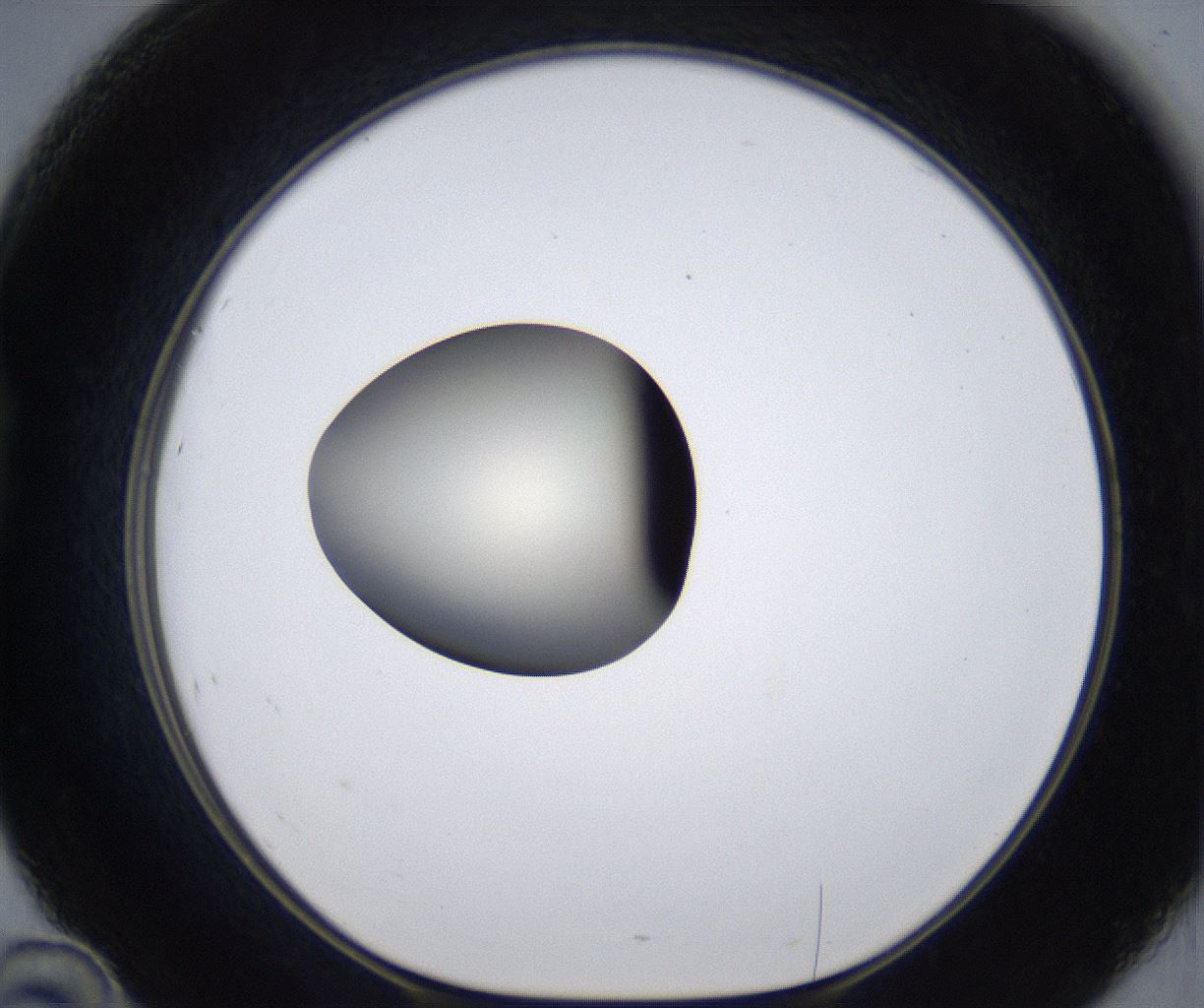 folderID283_plateID2283_batchID10811_wellNum46_profileID1_d1_r159643_ef.jpg