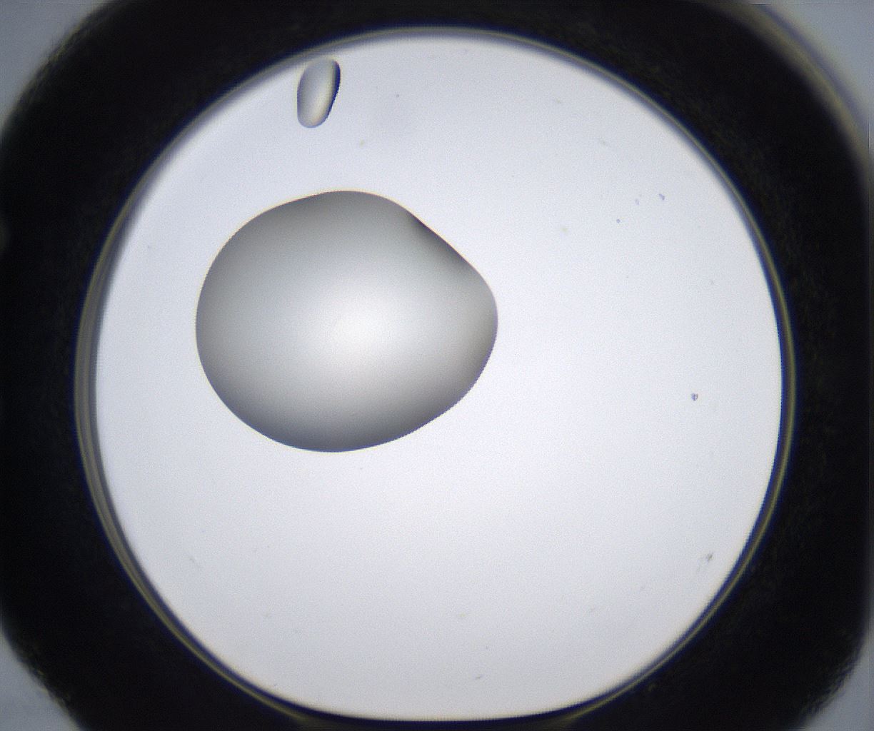 folderID283_plateID2283_batchID10811_wellNum52_profileID1_d1_r159649_ef.jpg