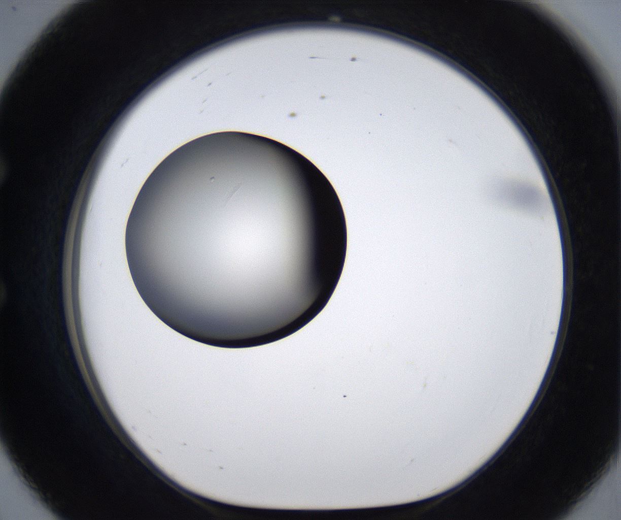 folderID283_plateID2283_batchID10811_wellNum56_profileID1_d1_r159653_ef.jpg