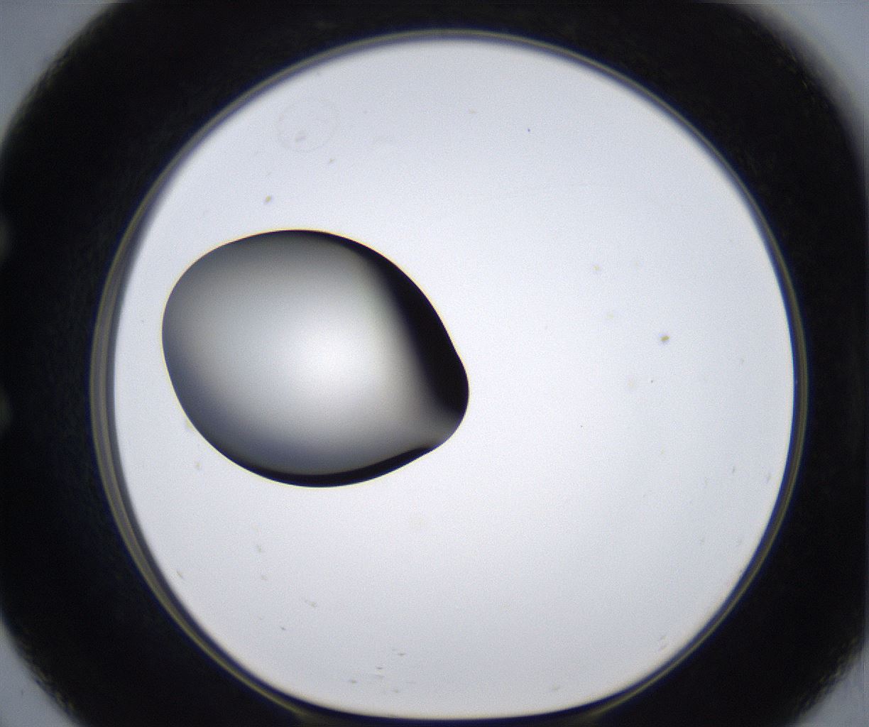 folderID283_plateID2283_batchID10811_wellNum57_profileID1_d1_r159654_ef.jpg