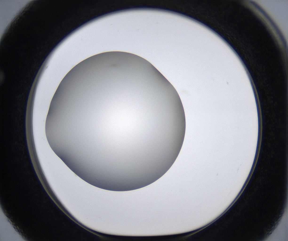 folderID283_plateID2283_batchID10811_wellNum63_profileID1_d1_r159660_ef.jpg