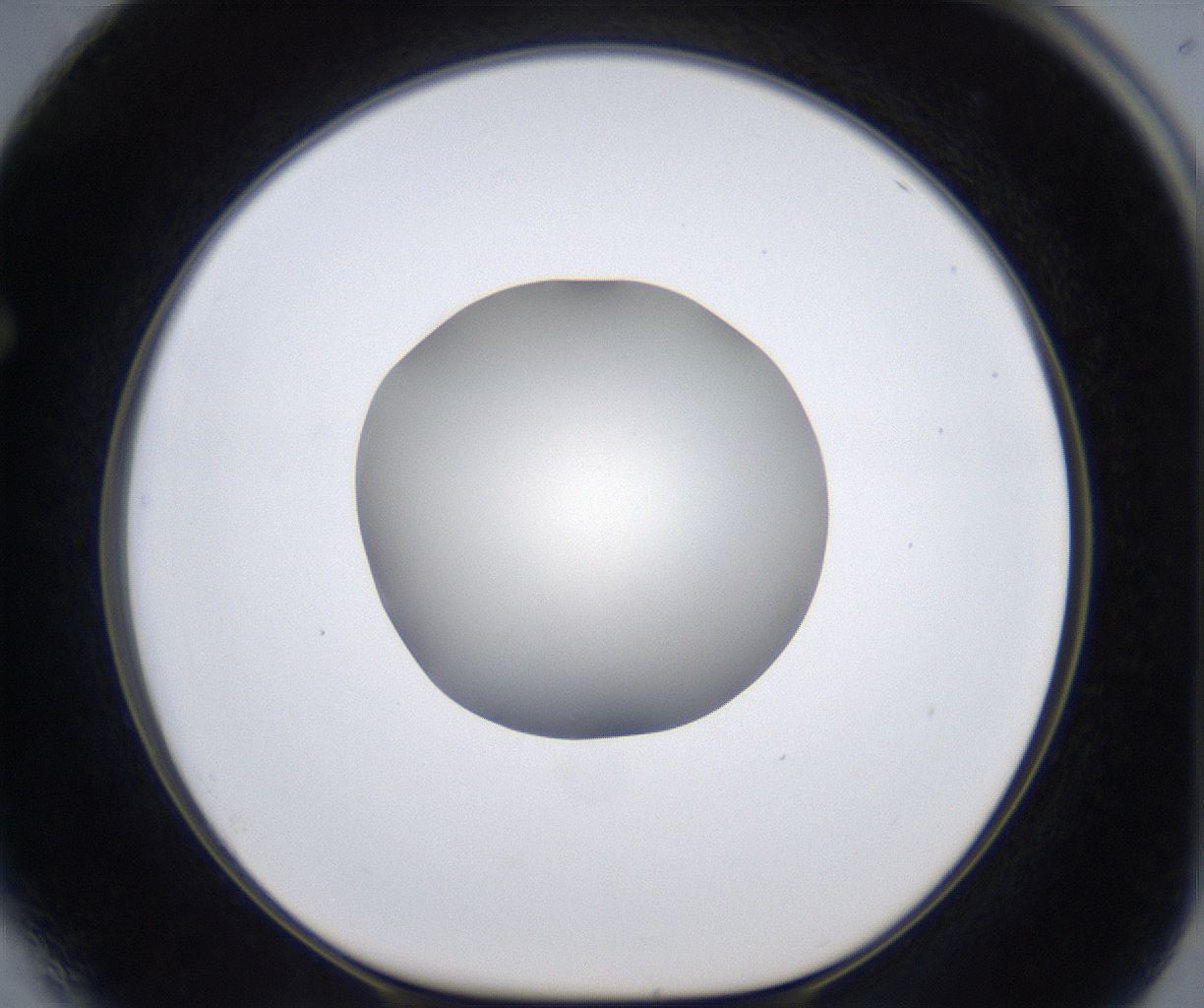 folderID283_plateID2283_batchID10811_wellNum64_profileID1_d1_r159661_ef.jpg